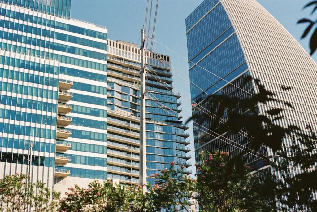 Austin business district consumer insights
